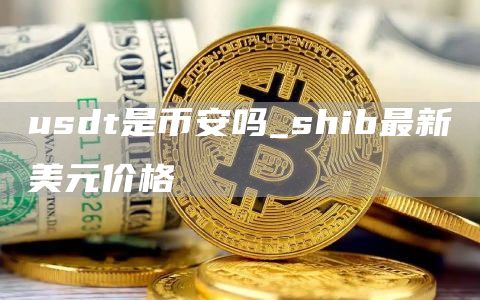 usdt是binance吗_shib最新美元价格